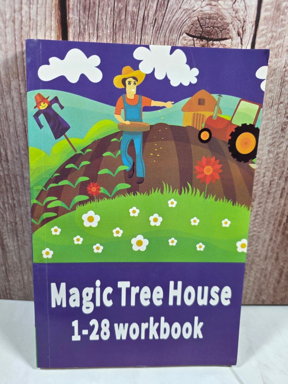 Magic Tree House 1-28 Workbook - Writing Prompts, Comprehension, Vocabulary NEW
